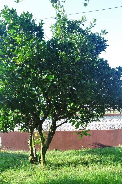 Franko Apartmani Zambratija  Ngoại thất bức ảnh
