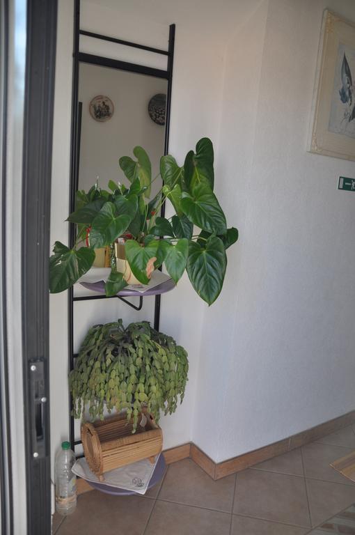 Franko Apartmani Zambratija  Ngoại thất bức ảnh