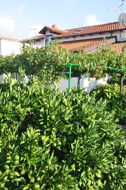 Franko Apartmani Zambratija  Ngoại thất bức ảnh